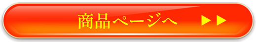 ORIGINAL 商品ページへ
