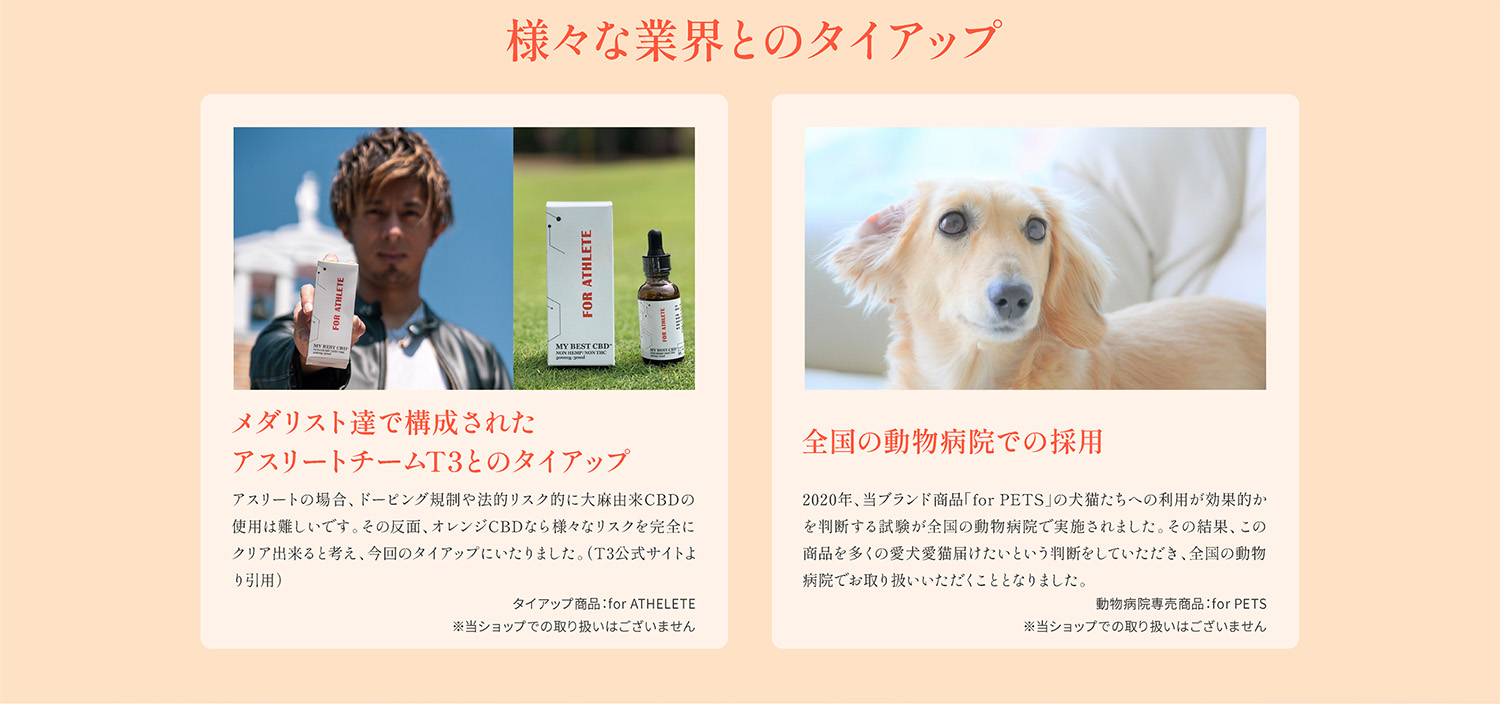 様々な業界とのタイアップ