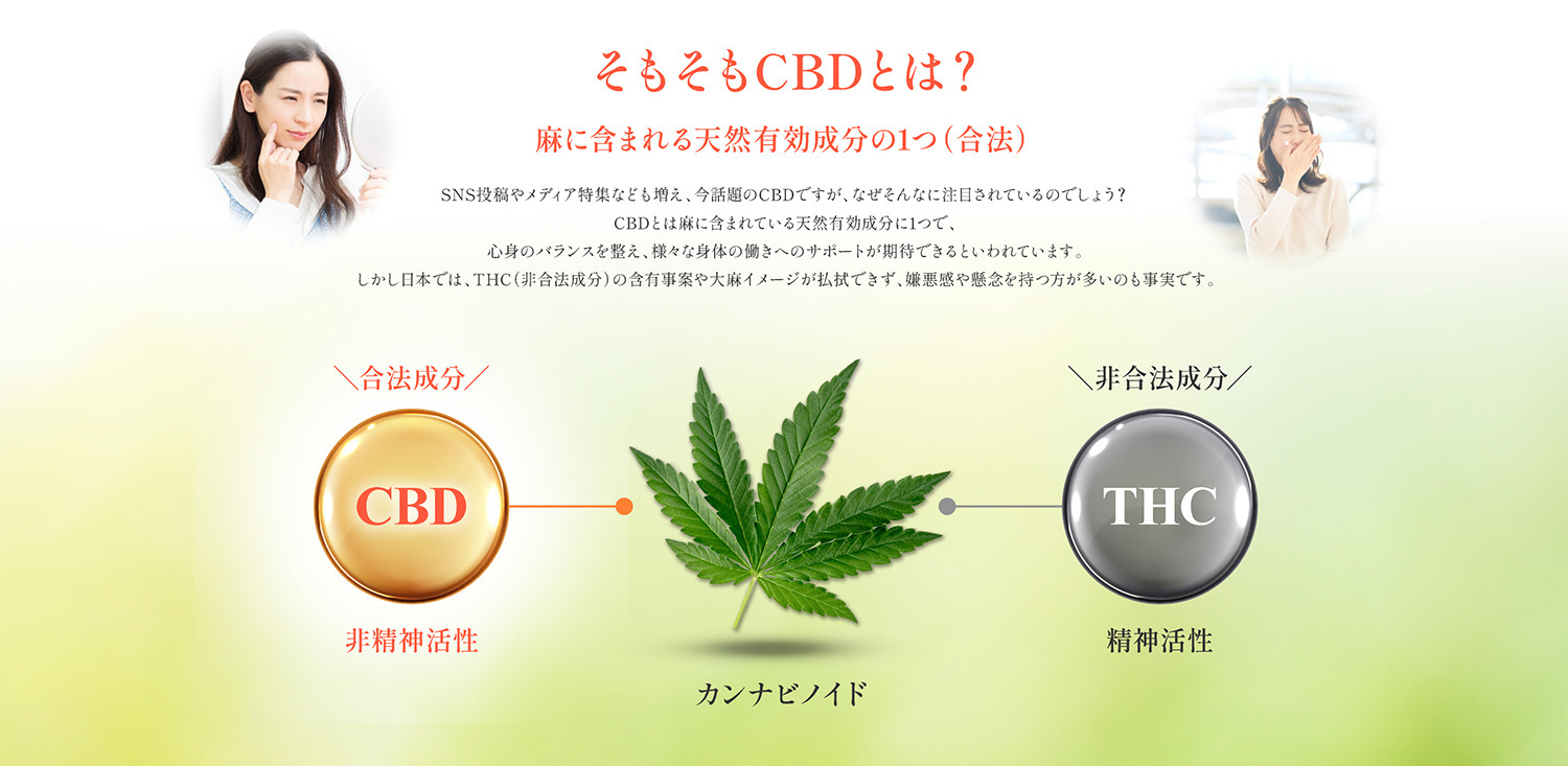 そもそもCBDとは？